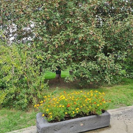 Petit Gite 18 Eme Tout Confort Saint-Germain-des-Fosses Exterior foto